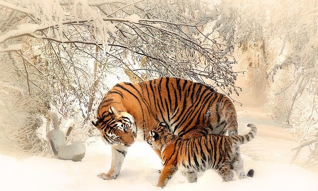 Po której stronie stoi matka chrzestna? Po której stronie stoi matka chrzestna?
