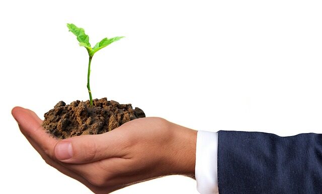 Dlaczego dno basenu jest śliskie?