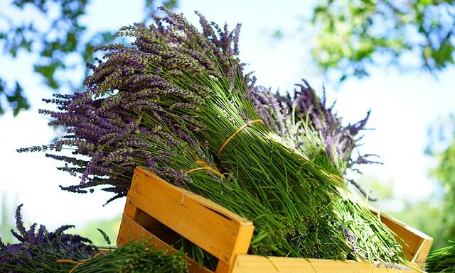 Po co Bukiecik na chrzest?