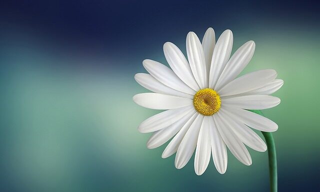 Jak zrobić biały beton?