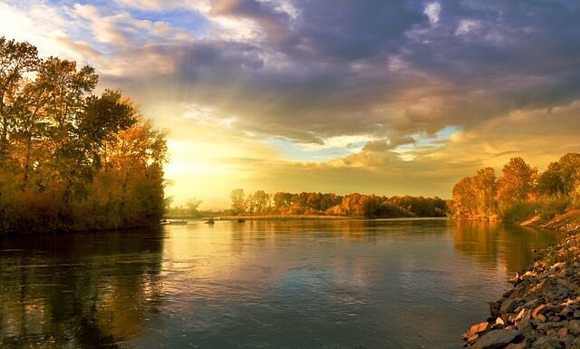 Jakie koło do pływania dla 4 latka?