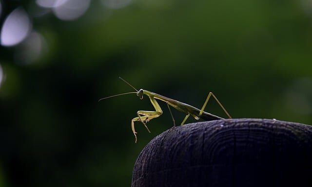 Co większe A4 czy b5? Co większe A4 czy b5?