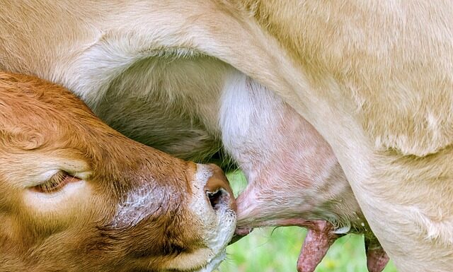 Co oznacza smoczek na chrzest? Co oznacza smoczek na chrzest?