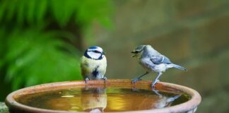 Ile mówi 2 letnie dziecko?