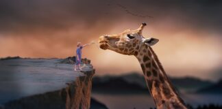 Co jest potrzebne do karmienia butelka?