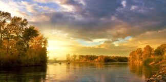 Jakie koło do pływania dla 3 latka?