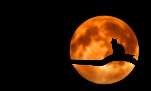 Co oznacza czarny łańcuszek na szyi?