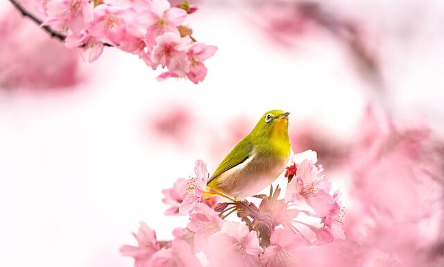 Jak skutecznie nauczyć dziecko ssać pierś po butelce? Jak skutecznie nauczyć dziecko ssać pierś po butelce?