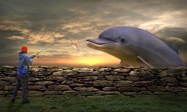 Czy żyłka jubilerska się rozciąga?