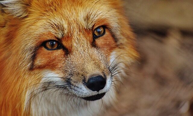 Jak wyciszyć 2 letnie dziecko?