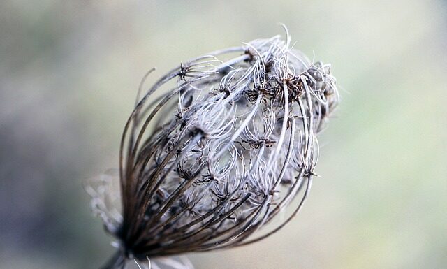 Czy bibuła to papier? Czy bibuła to papier?