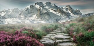 Jak dziecko stawia pierwsze kroki?