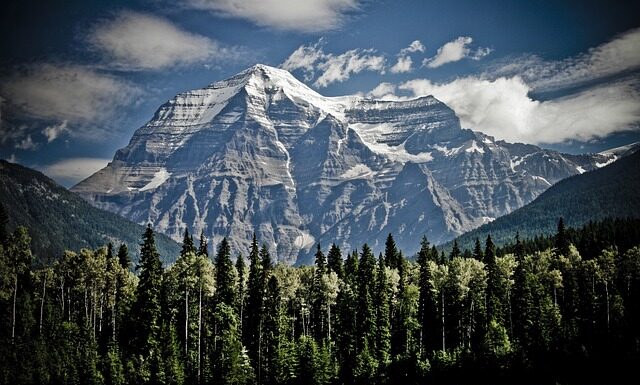 Jak zamontować przedni błotnik do roweru?