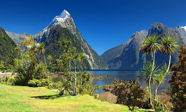 Kto nosi mitrę? Kto nosi mitrę?