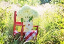 Czy warto kupić Bujak Montessori?