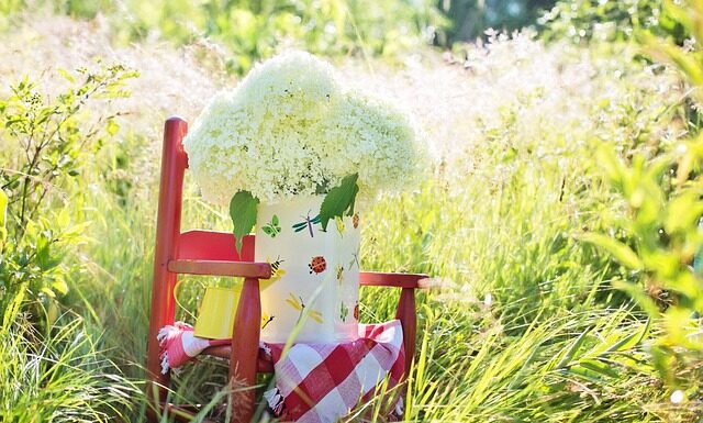 Czy warto kupić Bujak Montessori?