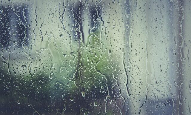 Gdzie można kupić korki do prądu?