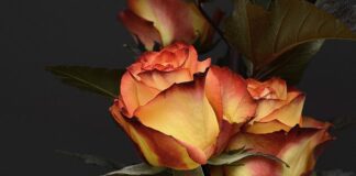 Co kupić po urodzeniu dziecka?