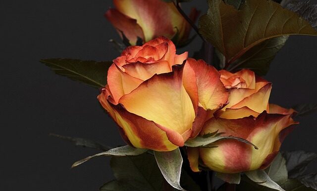 Co kupić po urodzeniu dziecka? Co kupić po urodzeniu dziecka?