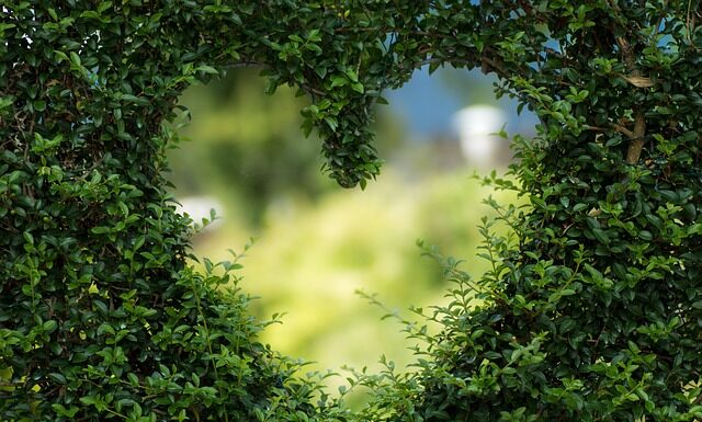 Co na zielone dno w basenie? Co na zielone dno w basenie?