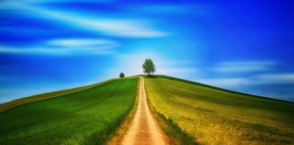 Co poprzedza chodzenie?