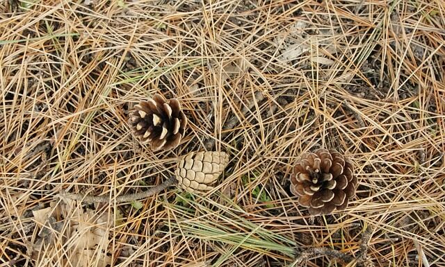 Czy dziecko powinno pić przez słomkę? Czy dziecko powinno pić przez słomkę?