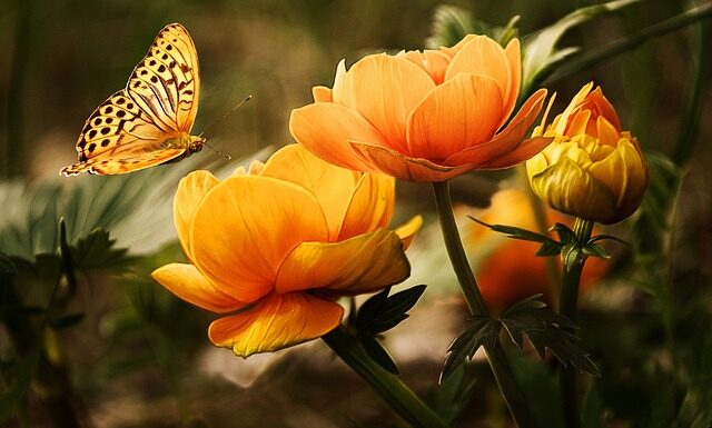 Co zrobić ze starym srebrem?