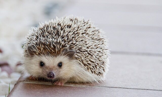 Jak karmić butelka żeby nie było kolki?