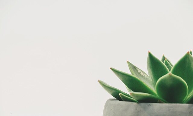 Co to jest Minimizer?