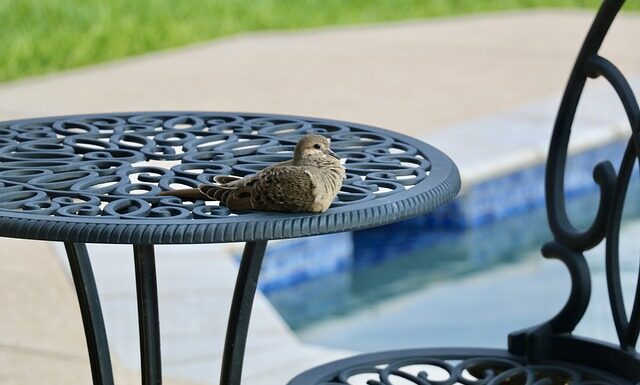 Czy w basenie widać mocz?