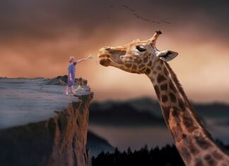 Jak liczyć czas między karmieniami butelką? Jak liczyć czas między karmieniami butelką?