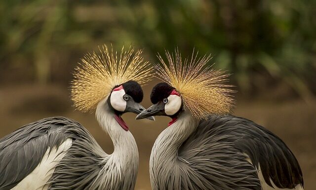 Jak się nazywa nakrycie głowy księdza? Jak się nazywa nakrycie głowy księdza?