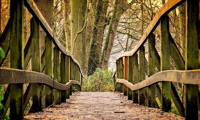 Co kupić dla dwulatka? Co kupić dla dwulatka?