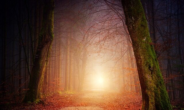 Czy 8-miesięczne dziecko może chodzić? Czy 8-miesięczne dziecko może chodzić?