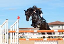 Dlaczego kamizelki ochronne to niezbędne rozwiązanie zarówno dla motocyklistów, jak i jeźdźców? Dlaczego kamizelki ochronne to niezbędne rozwiązanie zarówno dla motocyklistów, jak i jeźdźców
